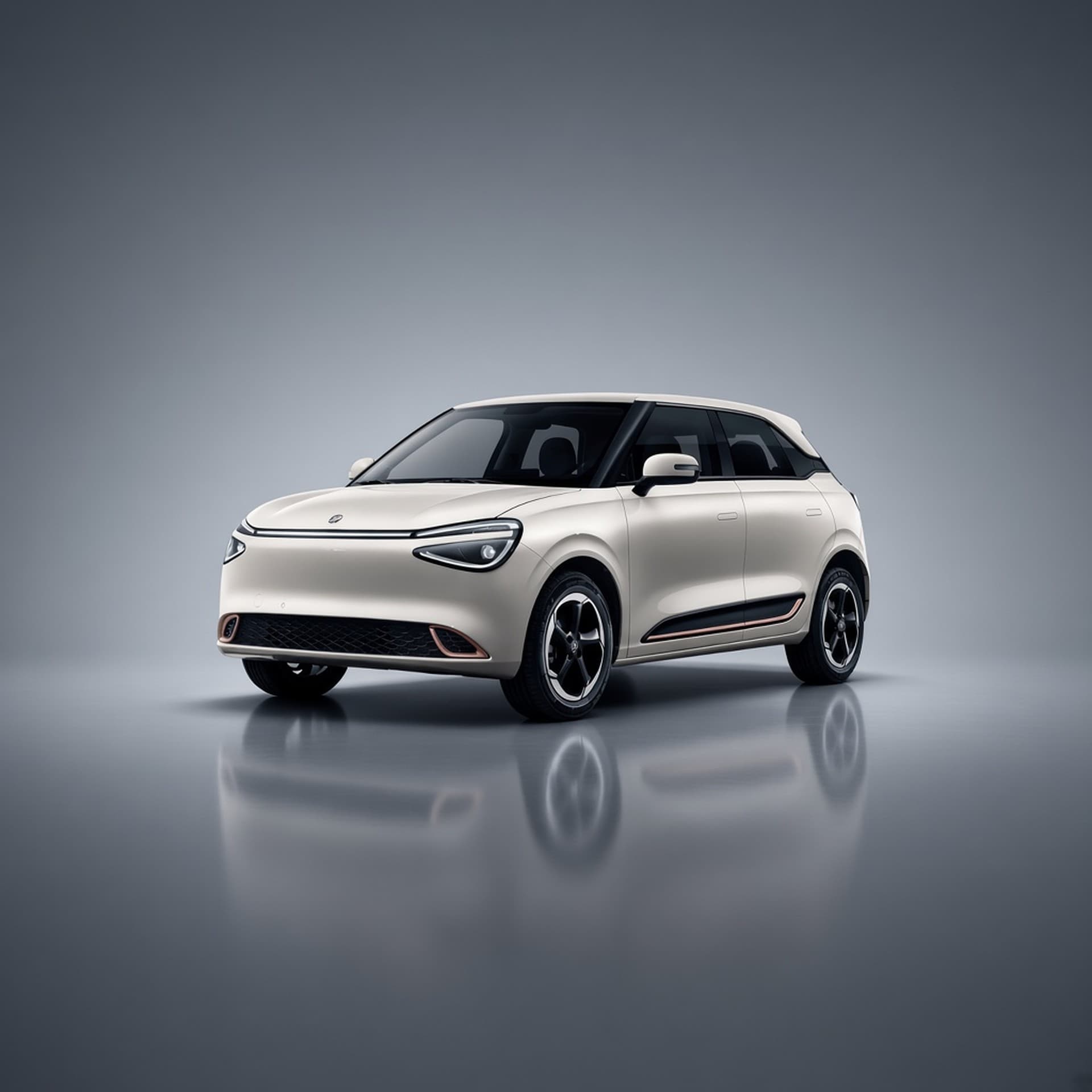 Dongfeng NAMI 01