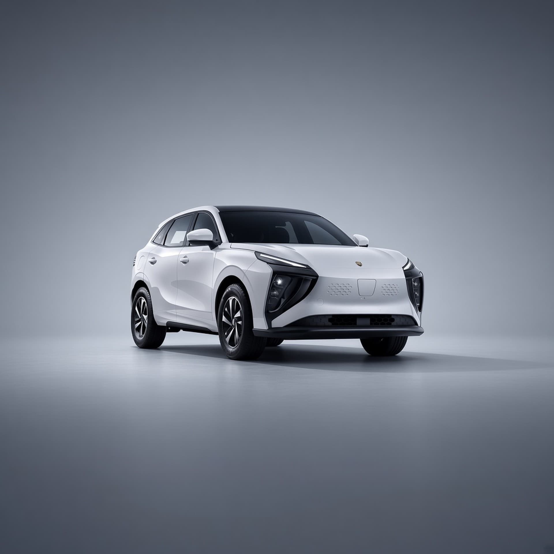 Dongfeng T5 EV 410