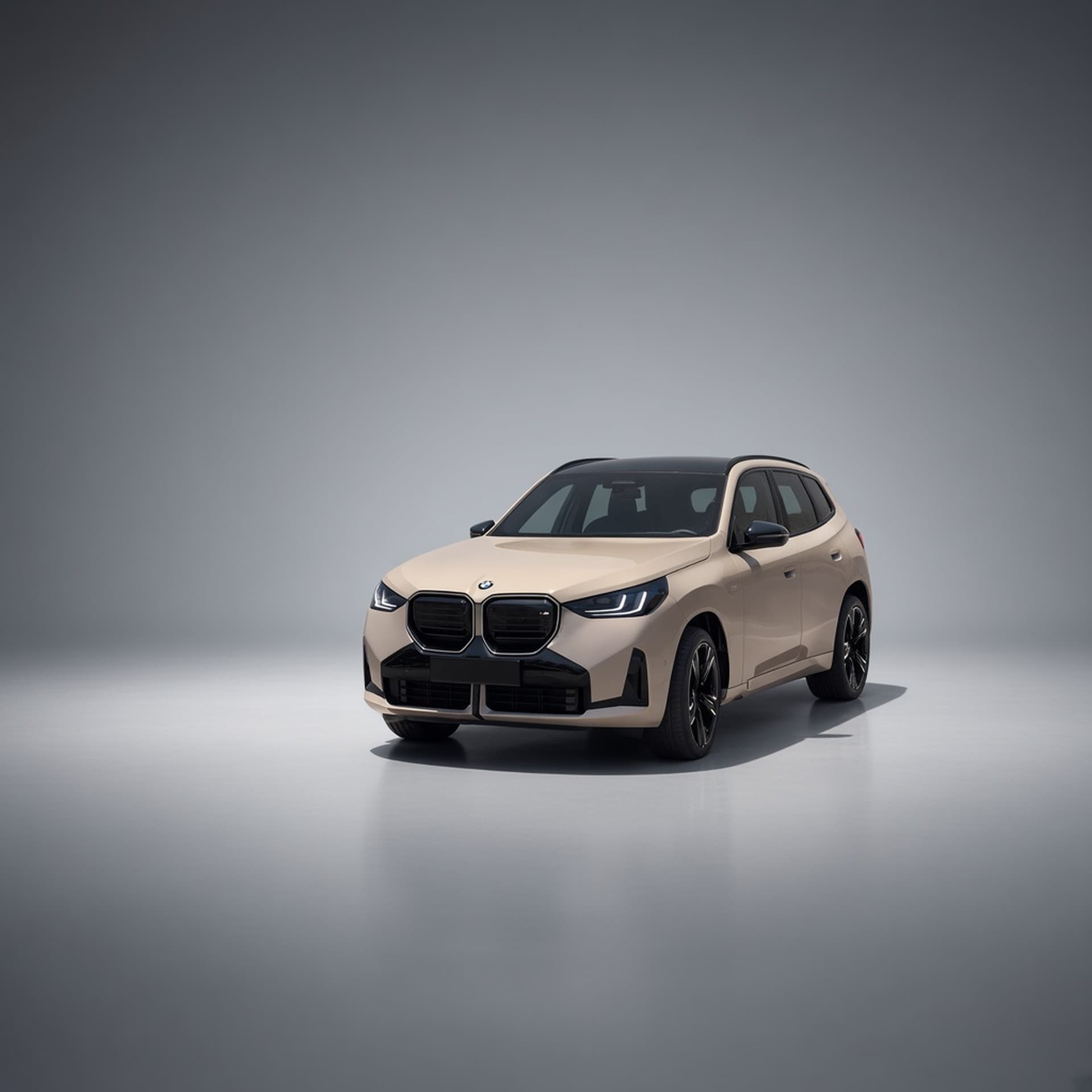 BMW · X3