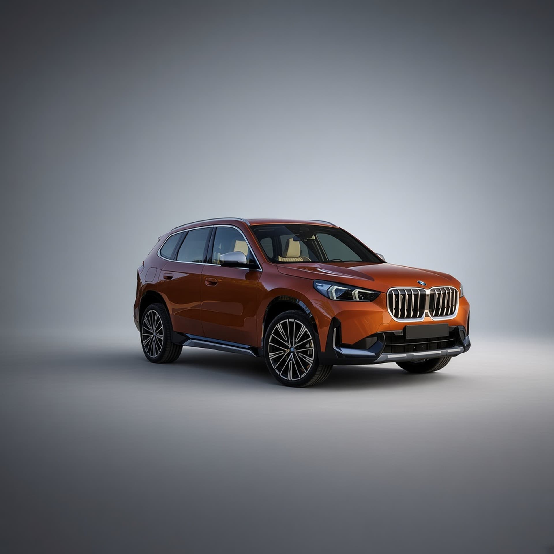 BMW · X1